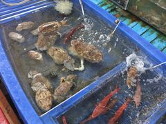 -蓝湾碧波·老字号·疍家非遗海上餐厅