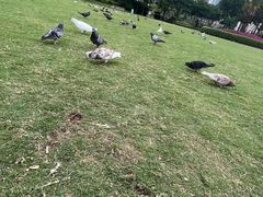 -白鹭洲公园