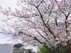 -龙美术馆(西岸馆)