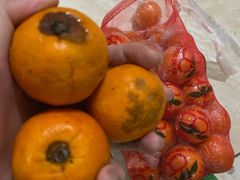 -何庄子阿米玛玛农产品批发市场