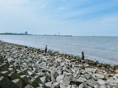 -上海滨江森林公园