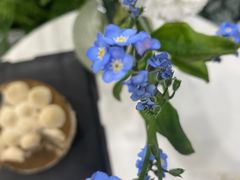 -姆们M Sweetie Cake(五道口店)