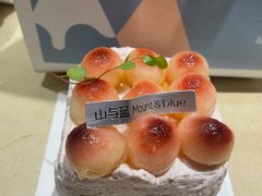 -山与蓝·轻糖鲜果蛋糕(勒泰店)