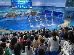 -多彩贵州城极地海洋世界