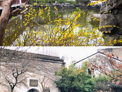 -艺圃