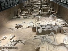 -洛阳周王城天子驾六博物馆