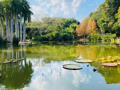 -中国科学院西双版纳热带植物园
