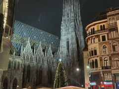 -斯蒂芬主教座堂(Stephansdom)