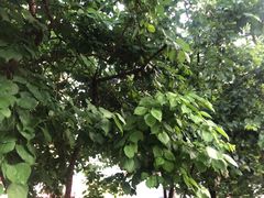 -长春公园(普阳街道)