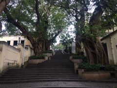 -龙环葡韵住宅式博物馆