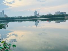 -莲花池公园