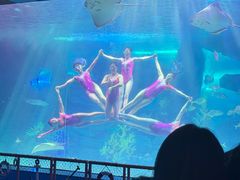 -泉城欧乐堡海洋极地世界