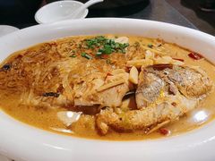 黄花鱼炖粉皮-燕青小馆(东园大厦店)