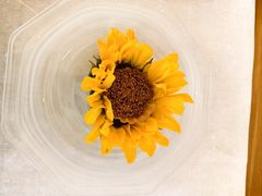 -无味舒食(环岛路店)