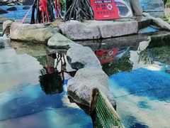 -鸿通城购物中心