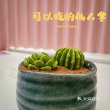 探店｜试试可以吃的多肉植物🌵