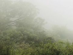 -洛阳白云山景区