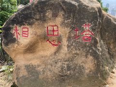 -南山植物园