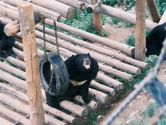 -大连森林动物园