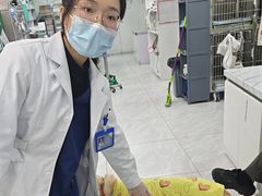 -达爱动物医院·犬猫分区·CT·复杂眼科(远洋山水分院)