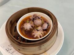 鱿鱼-万荟轩海鲜·粤式点心自助餐厅(蓝海风万怡酒店)