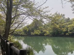-罗家巷子休闲庄自助碳烤