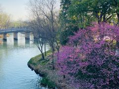 -西溪国家湿地公园