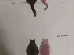 -渔家海鲜舫(宝湖路店)