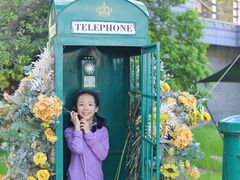 -金鸡湖桃花岛