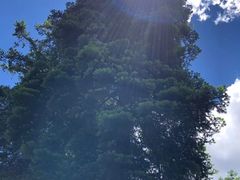 -迪庆藏族自治州博物馆