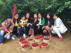 iphone_upload_pic-大连北马山庄