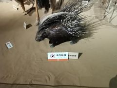 -陕西自然博物馆