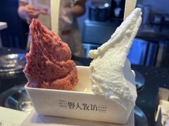 -野人牧坊Gelato(天津南开大悦城店)