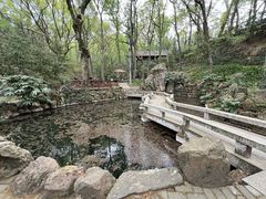 -句容茅山景区