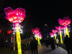 -金城公园