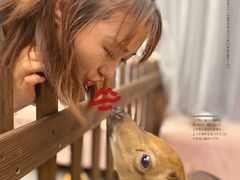 -浣熊柯尔鸭土拨鼠·电玩咖