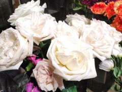 -ChaKo Flora ·茶子花艺 (市北店)