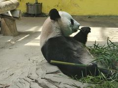 -杭州野生动物世界