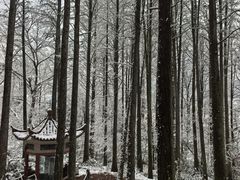 -波尔登森林公园