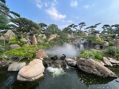 -罗红摄影艺术馆