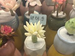 -大凉山彝家烤肉坊自助西昌火盆烧烤(建设路店)