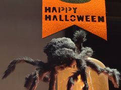 -blue frog蓝蛙(长泰广场店)