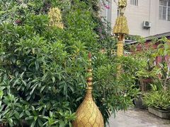 -品德宏·孔雀宴的发源地(金塔园店)
