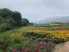 -帽儿山风景区
