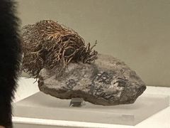 -天津自然博物馆
