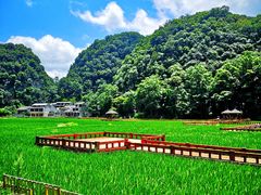 -高荡千年布依古寨旅游景区