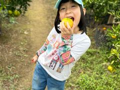 -前小桔亲子创意农场·草莓采摘·露营烧烤