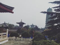 -法门文化景区