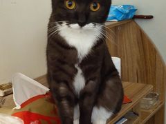 -乐宠宠物店(世纪金源店)