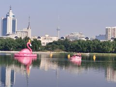 -莲花池公园